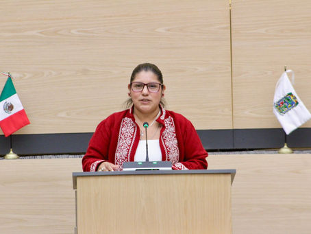 Diputada Elisa Limón presenta propuestas para fortalecer el Estado de Derecho en Puebla