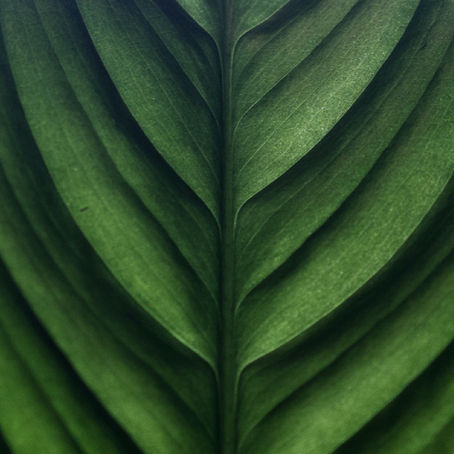 How DE&I Leads to Sustainable Growth