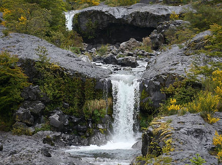 P1069977.JPG