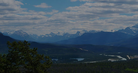 P1025902_edited.jpg
