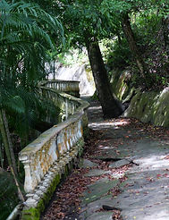 P1059392.JPG