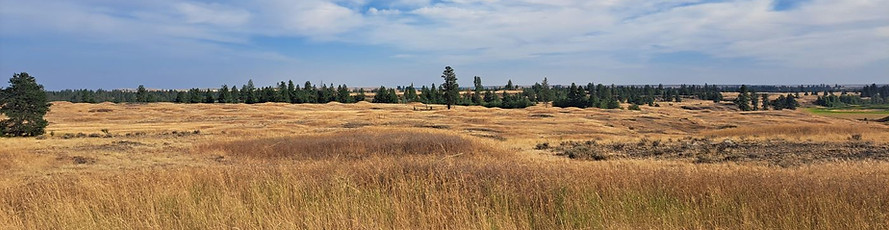20240821_171116.jpg