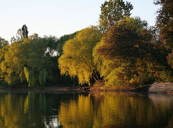 P1069934.JPG