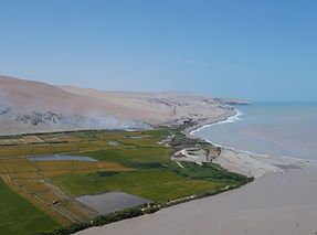 P1082931.JPG