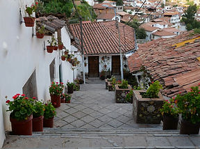 P1100342.JPG