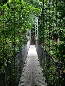 P1058731.JPG