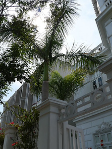 P1099510.JPG