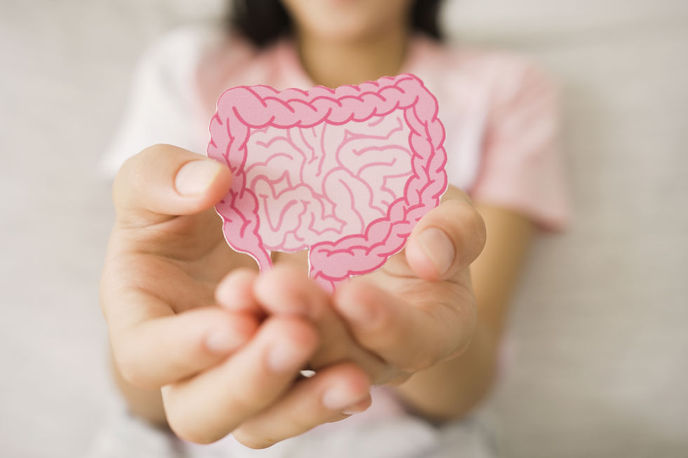 Promoting gut health: Hands hold an illustration of the digestive system, highlighting its importance for overall well-being.