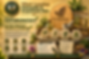 What Is Naturopathy? A Holistic Approach to Health and Wellbeing