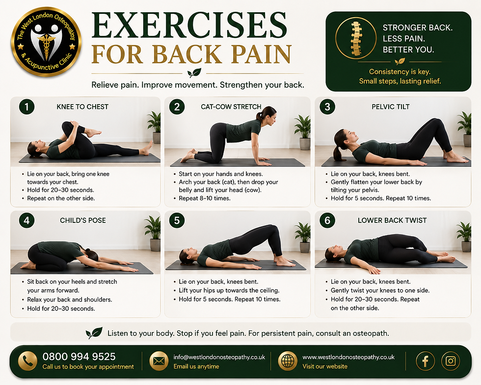 Exercises for back pain recommended by osteopaths at West London Osteopathy & Acupuncture Clinic