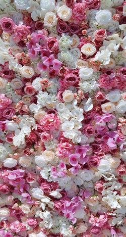 Blushing On You Garden