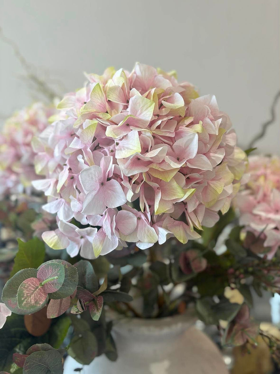 Thumbnail: Stunning Vintage Pink Hydrangeas 