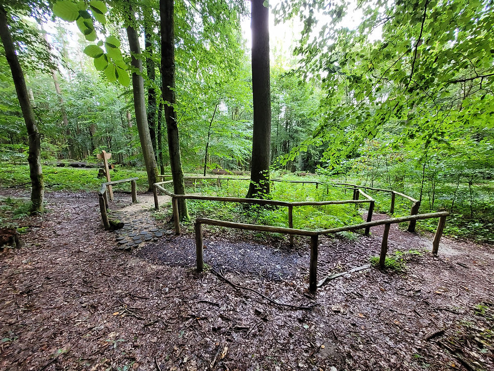 Verschiedene sensorische Stationen auf dem Barfußpfad