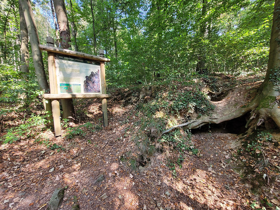 Ehemalige Affenhaus Windhausens
