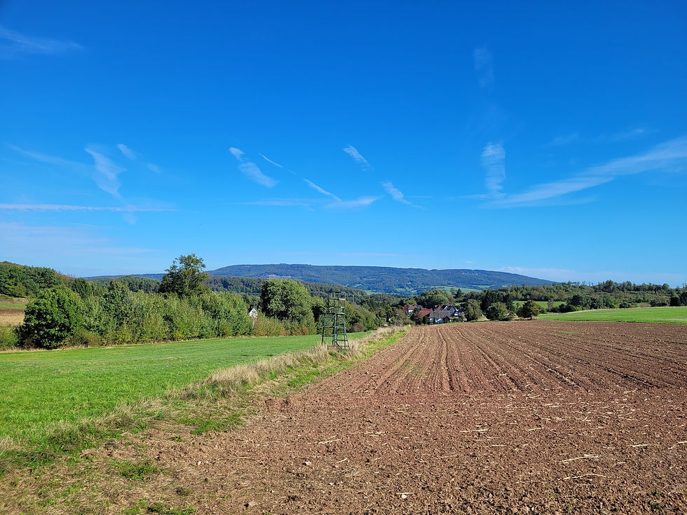Blick auf Rommerode und den Meißner von der Schutzhütte aus