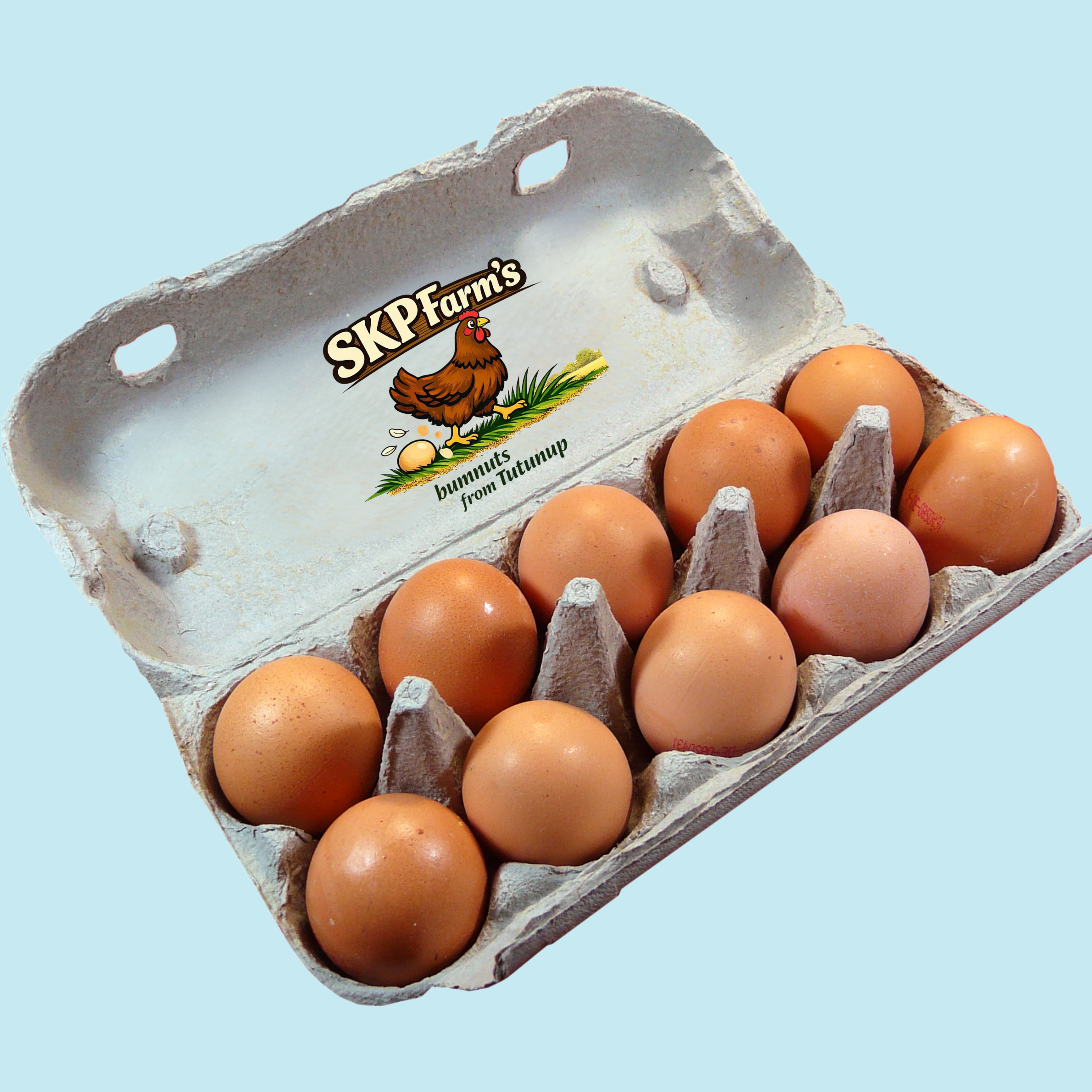 Pasture-Raised Eggs Dozen (large / 600g minimum)
