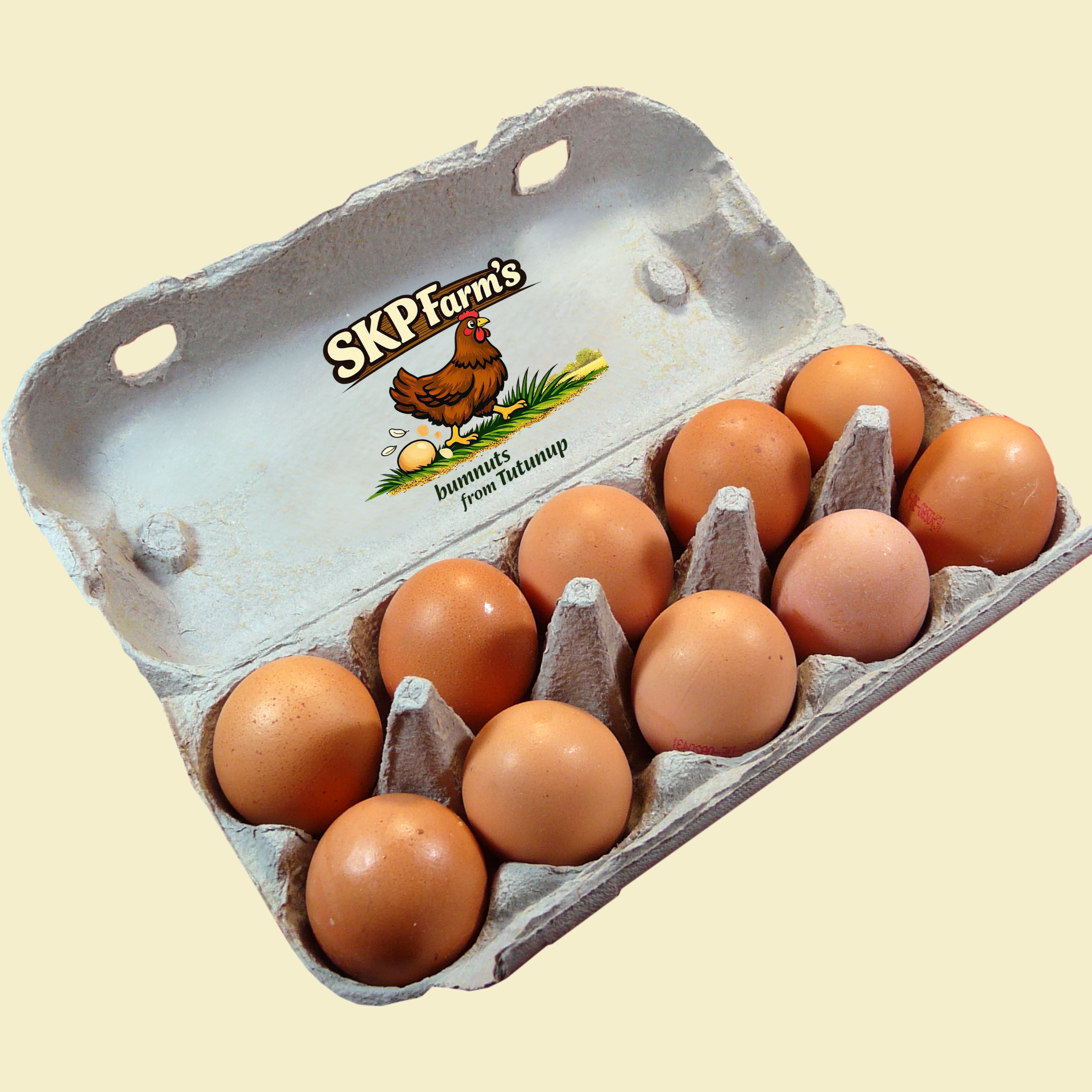 Pasture-Raised Eggs Dozen (Jumbo / 850g minimum)