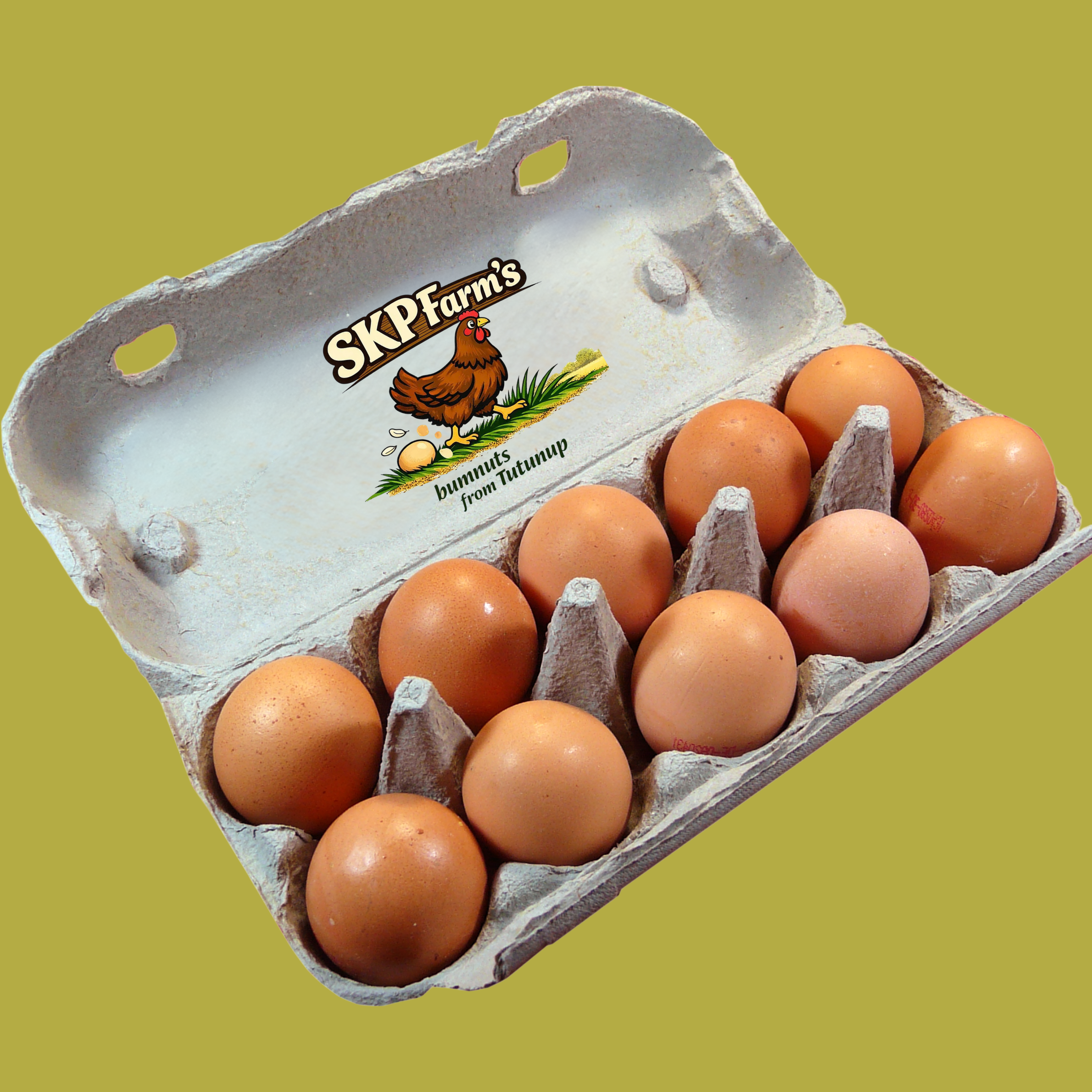 Pasture-Raised Eggs Dozen (X-large / 700g minimum)