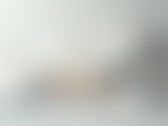 Projetos Arquitetônicos e de Engenharia com BIM