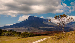 Venezuela Lost World Rediscovered