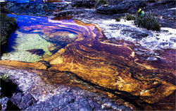 Venezuela Lost World Rediscovered