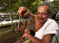 Amazonia