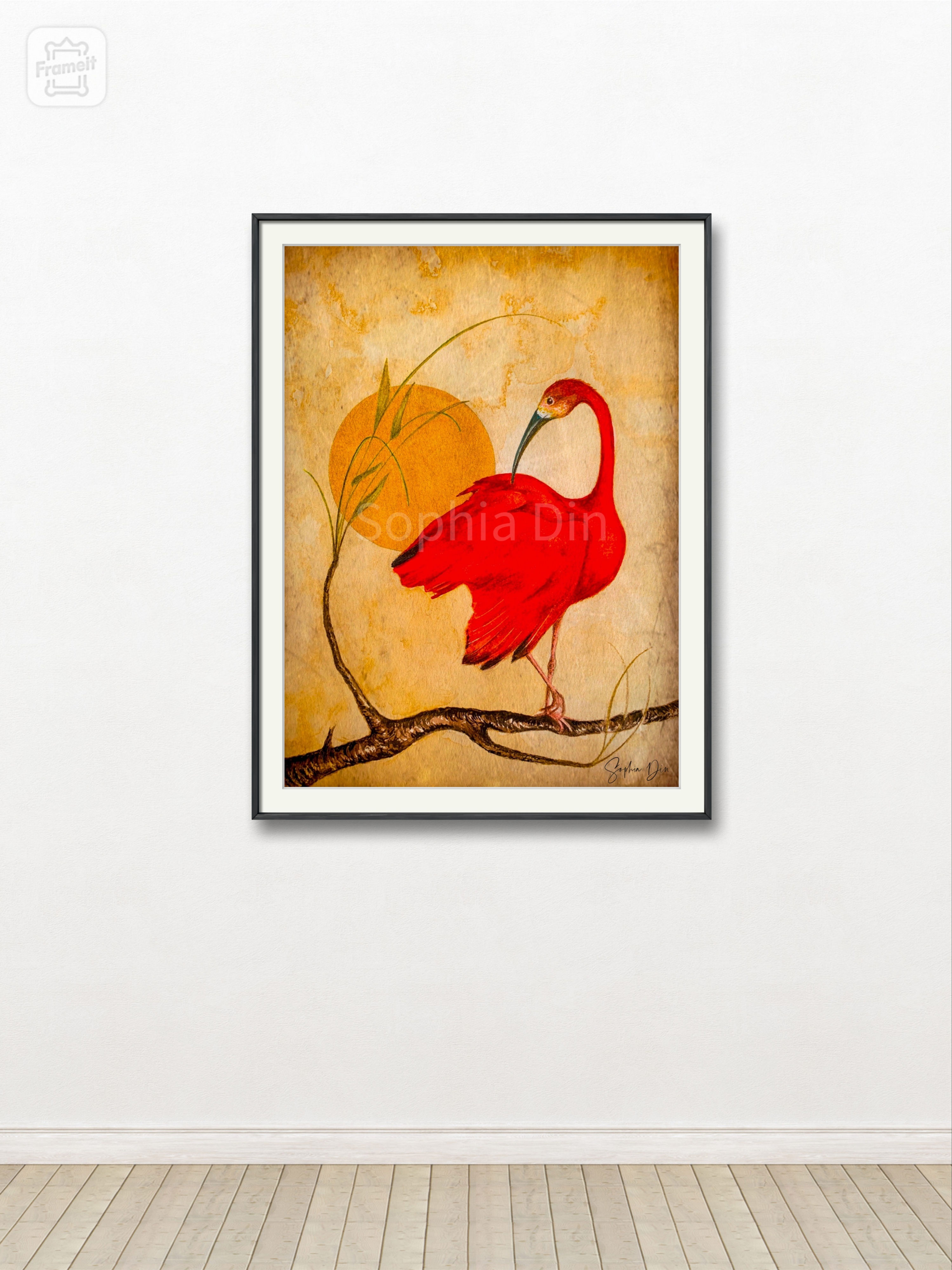 Scarlet Ibis on a Mangrove