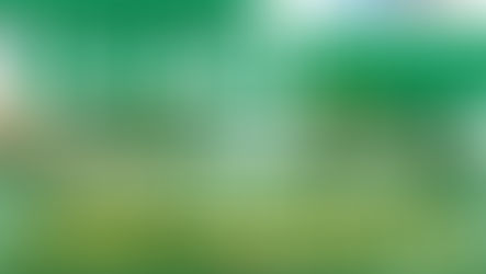 Progetto "life terra" - 100 nuovi alberi a Pistoia