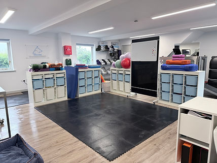 veterinary-physiotherapy-clinic-northleach.jpeg