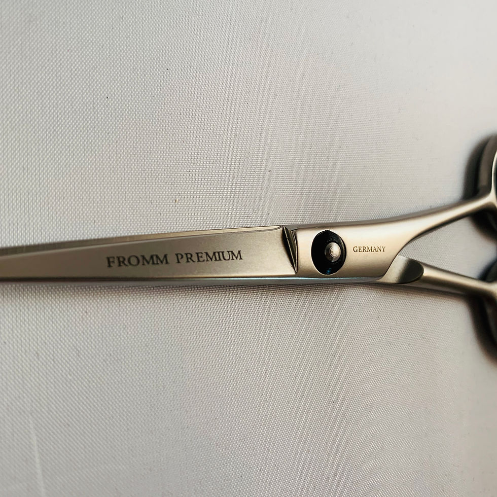 Thumbnail: 5.5" Fromm Shogun RH