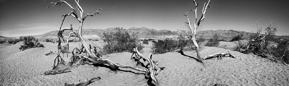 Panorama1desert bn phone.jpg