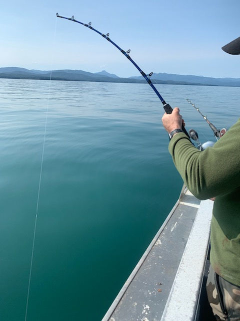 Thumbnail: 48" 30-130lb Moderate Heavy Halibut Rod "Butt Thumper"