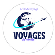 Logo voyage avion bleu (2)_edited_edited