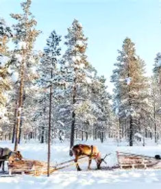 télécharger (5)_edited.jpg