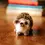 Thumbnail: Baby Hedgehog Needle Felting Craft Kit