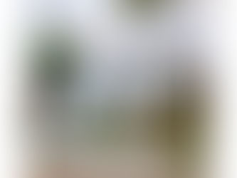 promo texam , promo le meilleur du végétal texam , stéphane texam votre conseiller texam partout en belgique 