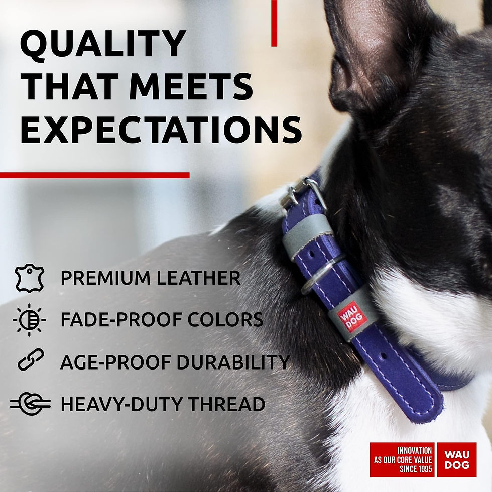 Miniatura: Purple Long Lasting Leather Dog Collar for Small Dogs 1114 inch Neck Adjustable