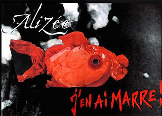 JEAM-PROMOLUXE (1).jpg