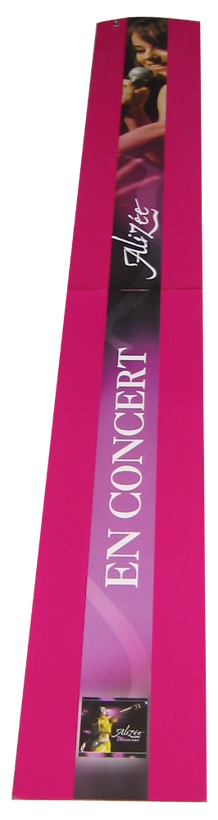 PLV En Concert Alizée (Carrefour).png