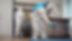 commercial-pest-control-services.jpeg
