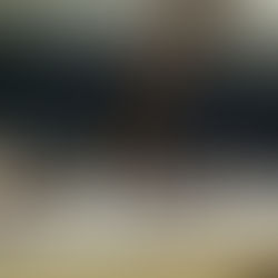 ABEF e SINABEF | CTF | Campinas 2016