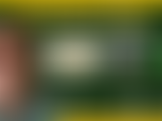 Palestra: “ATRITO NEGATIVO E EFEITO TSCHEBOTARIOFF EM ESTACAS”