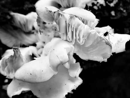 See the World Through My Eyes...