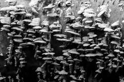 20190929-richlandpark-0489