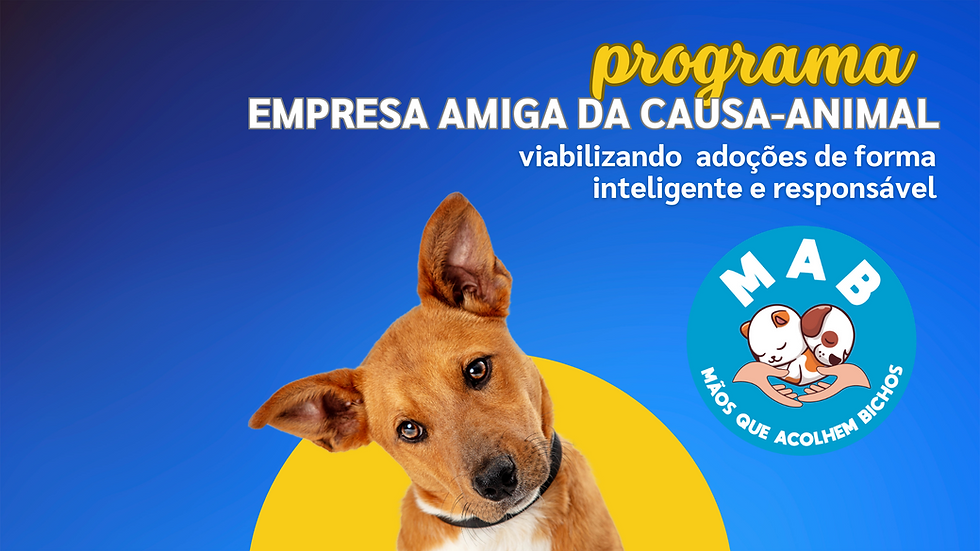 programa.png