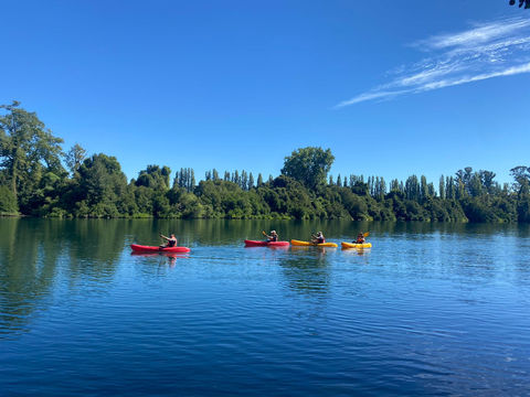 Naturaleza exuberante, Osorno indómito