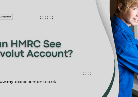 Can HMRC See Revolut Account?