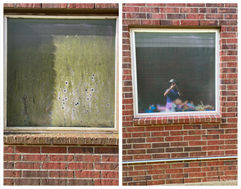 Window algea removal Before and after.jpg