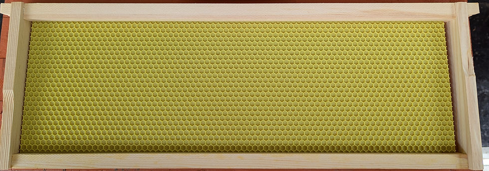 Thumbnail: Beekeeping Frame with Foundation