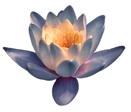 LotusLight (1).png